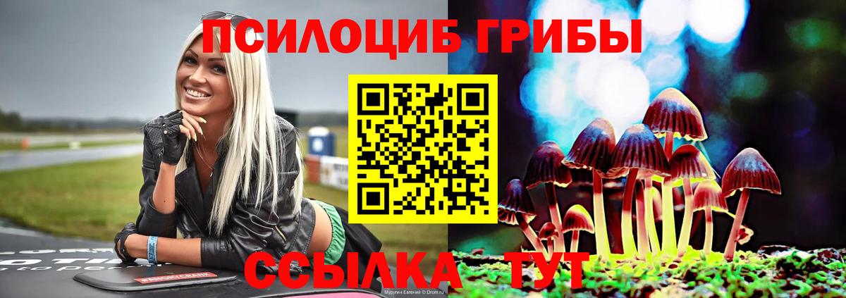 Галлюциногенные грибы прущие грибы  Вход с VPN  Рассказово  Псилоцибиновые грибы мицелий 